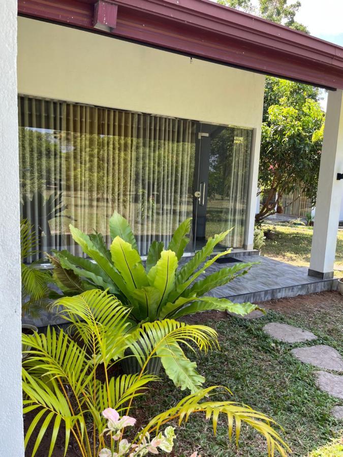 Nature Resort Polonnaruwa Esterno foto