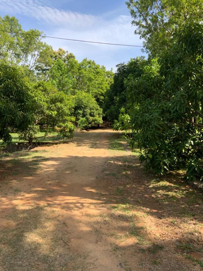 Nature Resort Polonnaruwa Esterno foto