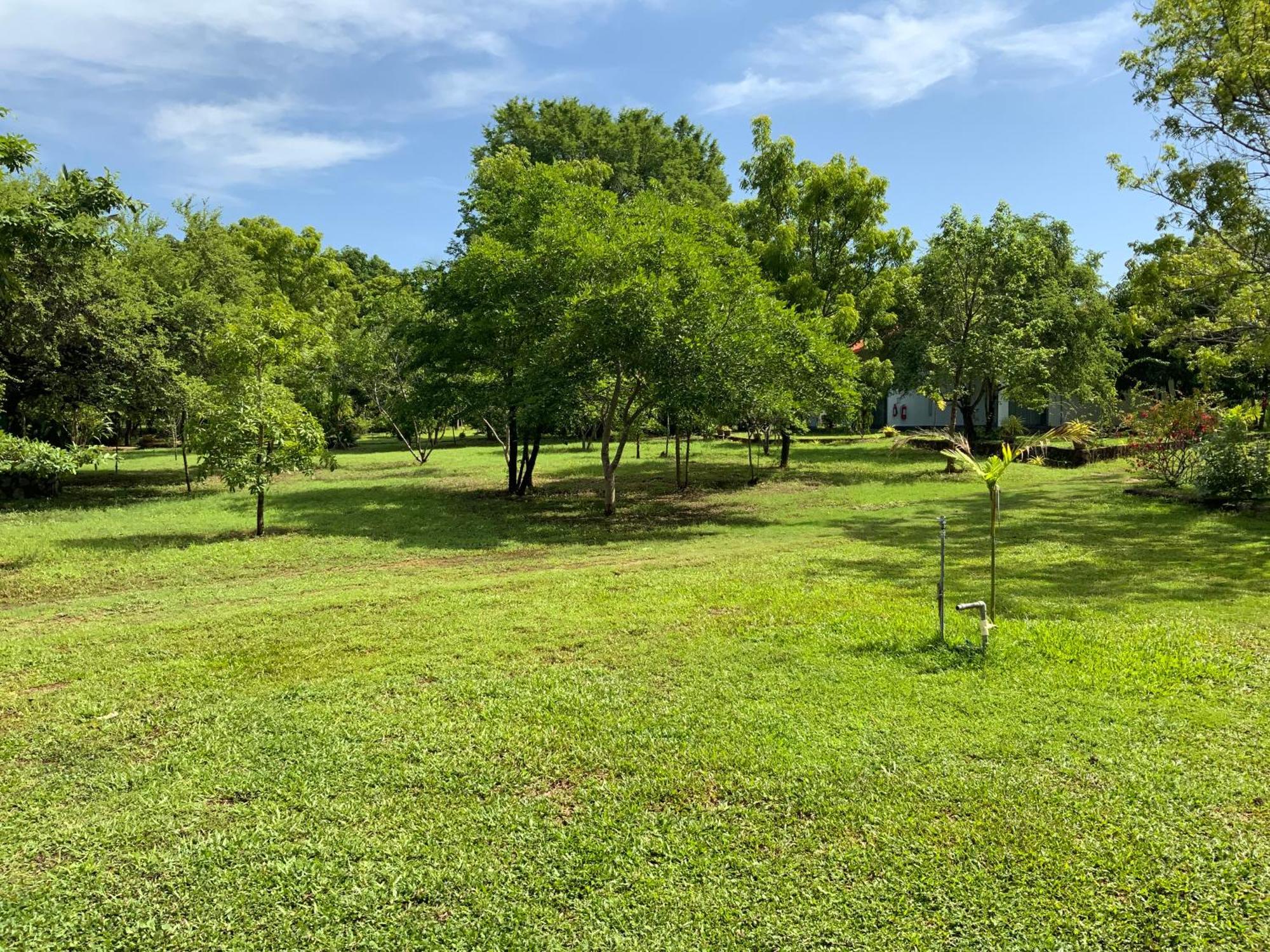 Nature Resort Polonnaruwa Esterno foto