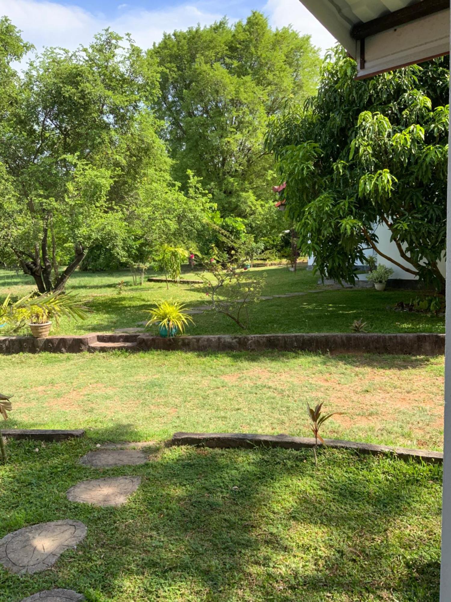 Nature Resort Polonnaruwa Esterno foto