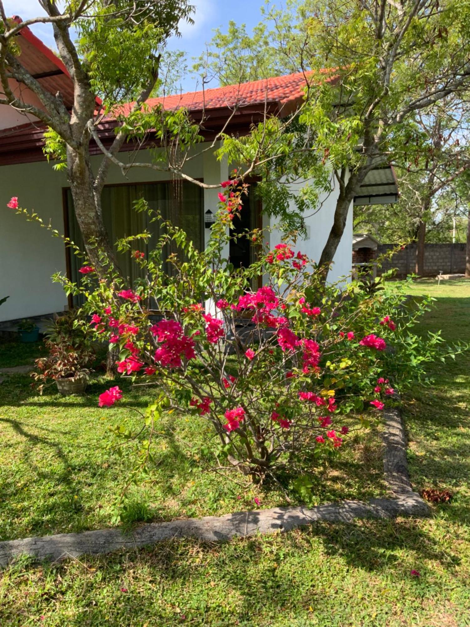 Nature Resort Polonnaruwa Esterno foto