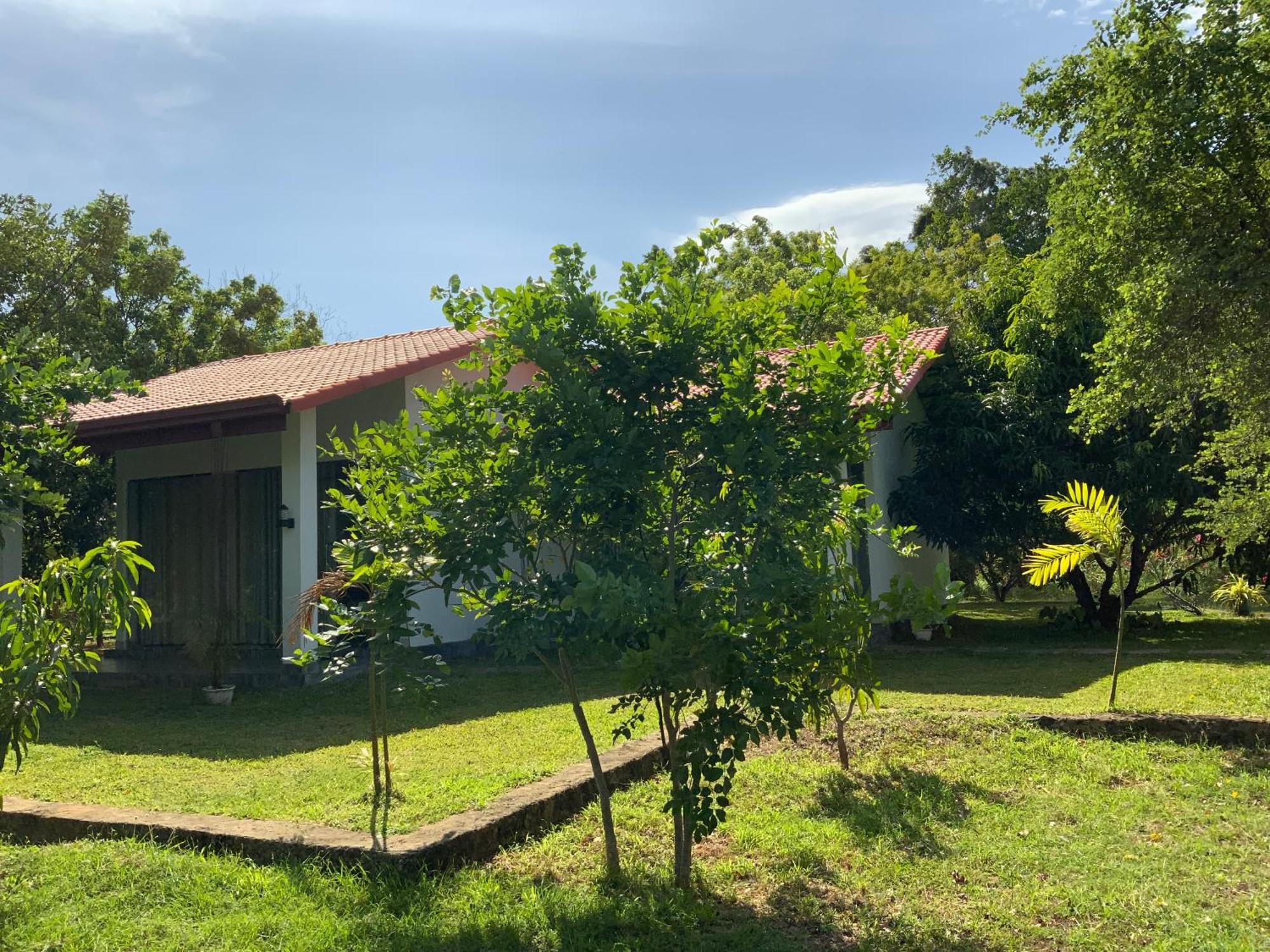Nature Resort Polonnaruwa Esterno foto