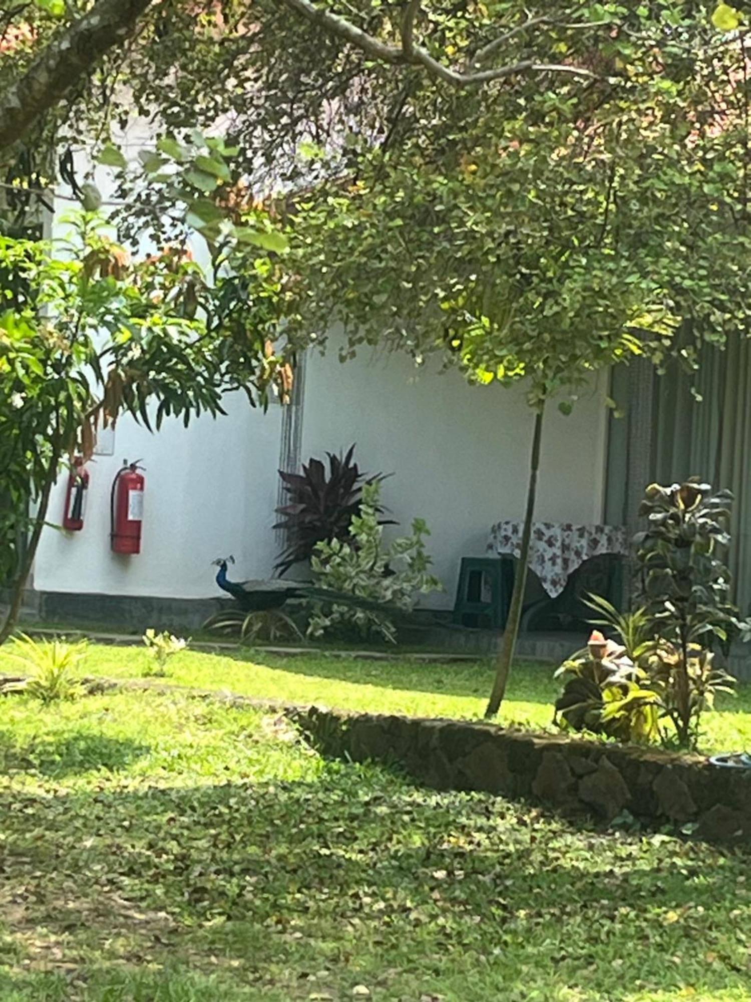 Nature Resort Polonnaruwa Esterno foto